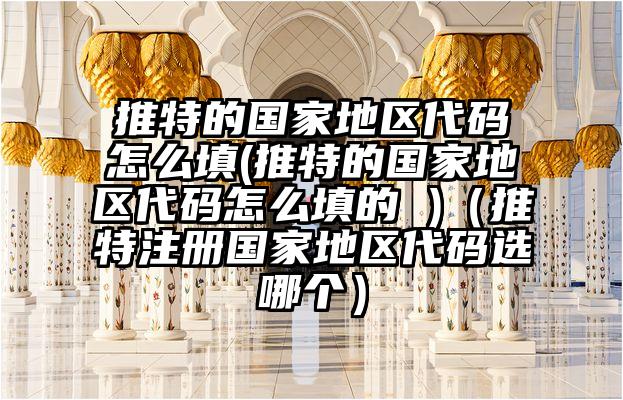 推特的国家地区代码怎么填(推特的国家地区代码怎么填的 )（推特注册国家地区代码选哪个）