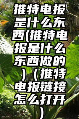 推特电报是什么东西(推特电报是什么东西做的 )（推特电报链接怎么打开）