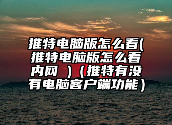 推特电脑版怎么看(推特电脑版怎么看内网 )（推特有没有电脑客户端功能）