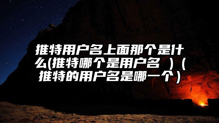 推特用户名上面那个是什么(推特哪个是用户名 )（推特的用户名是哪一个）