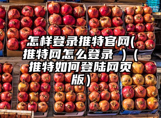 怎样登录推特官网(推特网怎么登录 )（推特如何登陆网页版）