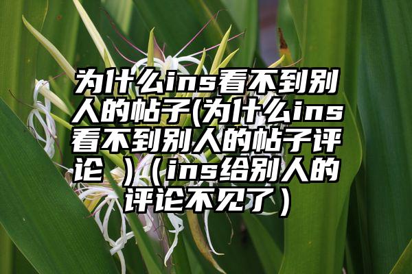 为什么ins看不到别人的帖子(为什么ins看不到别人的帖子评论 )（ins给别人的评论不见了）