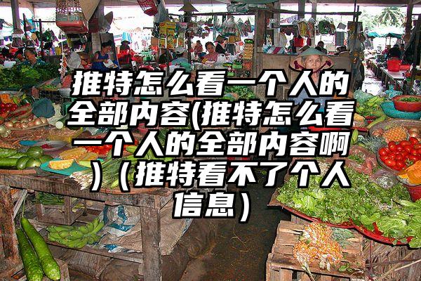 推特怎么看一个人的全部内容(推特怎么看一个人的全部内容啊 )（推特看不了个人信息）