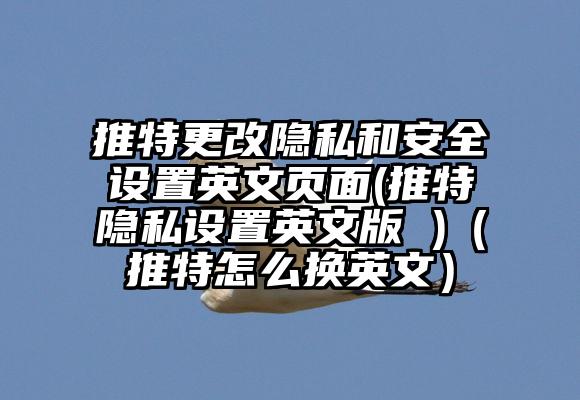 推特更改隐私和安全设置英文页面(推特隐私设置英文版 )(推特怎么换英文)