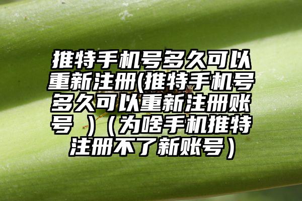 推特手机号多久可以重新注册(推特手机号多久可以重新注册账号 )（为啥手机推特注册不了新账号）