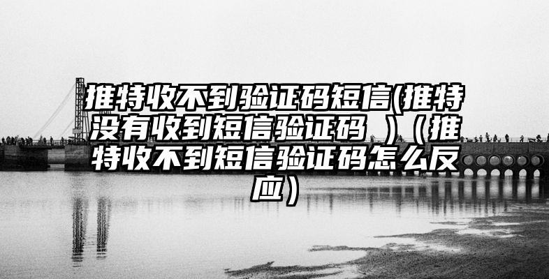 推特收不到验证码短信(推特没有收到短信验证码 )（推特收不到短信验证码怎么反应）
