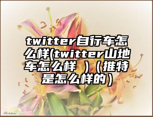 twitter自行车怎么样(twitter山地车怎么样 )（推特是怎么样的）
