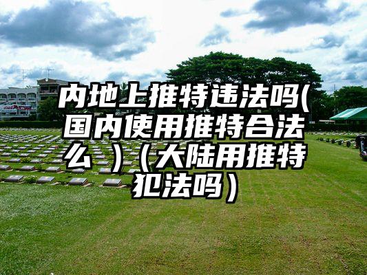 内地上推特违法吗(国内使用推特合法么 )（大陆用推特犯法吗）