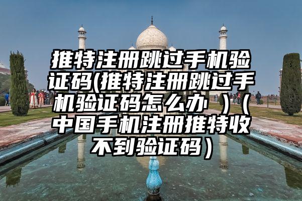 推特注册跳过手机验证码(推特注册跳过手机验证码怎么办 )（中国手机注册推特收不到验证码）
