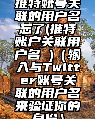 推特账号关联的用户名忘了(推特账户关联用户名 )（输入与Twitter账号关联的用户名来验证你的身份）