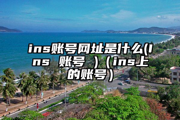 ins账号网址是什么(Ins 账号 )（ins上的账号）