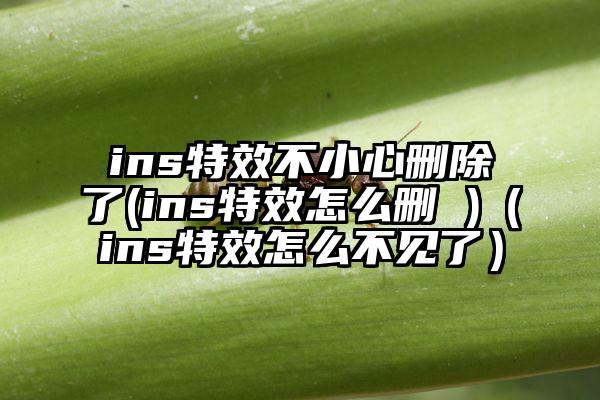 ins特效不小心删除了(ins特效怎么删 )（ins特效怎么不见了）