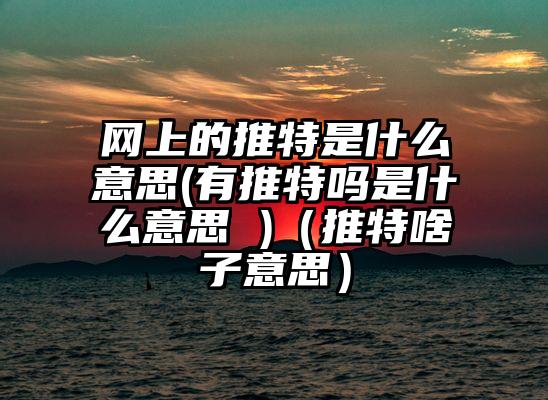 网上的推特是什么意思(有推特吗是什么意思 )（推特啥子意思）