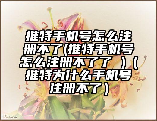 推特手机号怎么注册不了(推特手机号怎么注册不了了 )（推特为什么手机号注册不了）