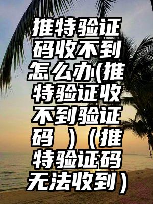 推特验证码收不到怎么办(推特验证收不到验证码 )(推特验证码无法收到)