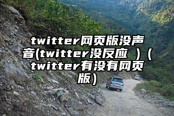 twitter网页版没声音(twitter没反应 )（twitter有没有网页版）