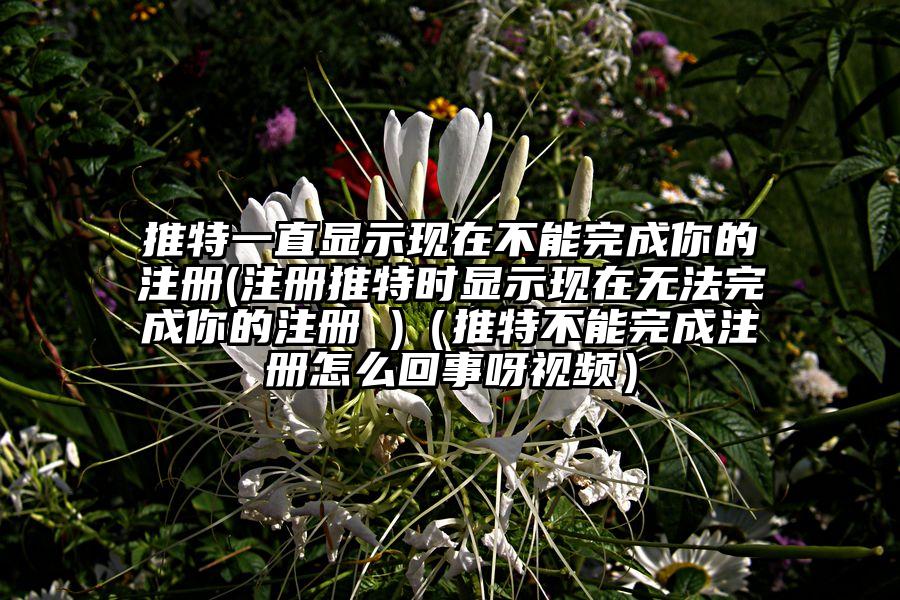 推特一直显示现在不能完成你的注册(注册推特时显示现在无法完成你的注册 )（推特不能完成注册怎么回事呀视频）
