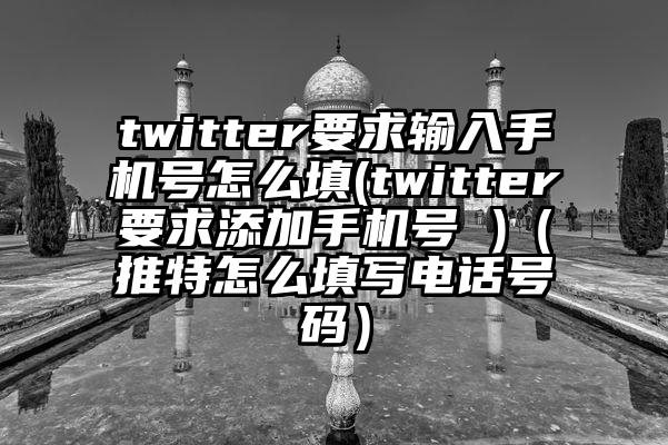 twitter要求输入手机号怎么填(twitter要求添加手机号 )（推特怎么填写电话号码）