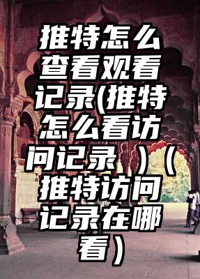 推特怎么查看观看记录(推特怎么看访问记录 )（推特访问记录在哪看）
