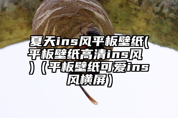 夏天ins风平板壁纸(平板壁纸高清ins风 )（平板壁纸可爱ins风横屏）