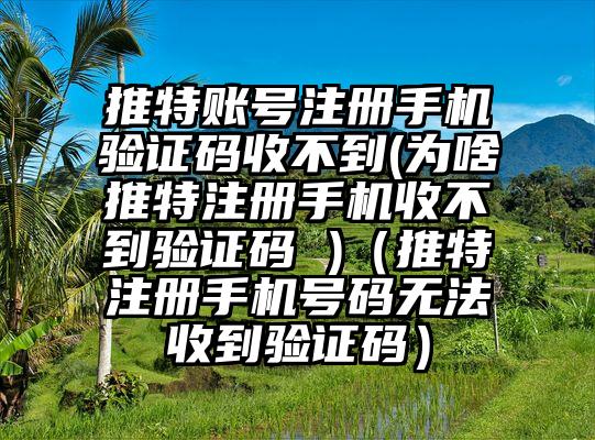 推特账号注册手机验证码收不到(为啥推特注册手机收不到验证码 )(推特注册手机号码无法收到验证码)