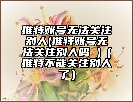 推特账号无法关注别人(推特账号无法关注别人吗 )（推特不能关注别人了）