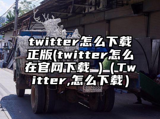 twitter怎么下载正版(twitter怎么在官网下载 )（Twitter,怎么下载）