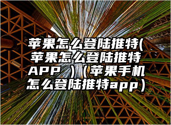 苹果怎么登陆推特(苹果怎么登陆推特APP )（苹果手机怎么登陆推特app）