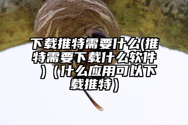 下载推特需要什么(推特需要下载什么软件 )（什么应用可以下载推特）