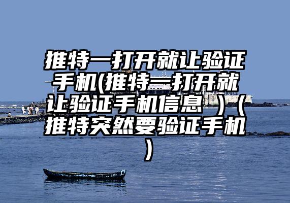 推特一打开就让验证手机(推特一打开就让验证手机信息 )（推特突然要验证手机）