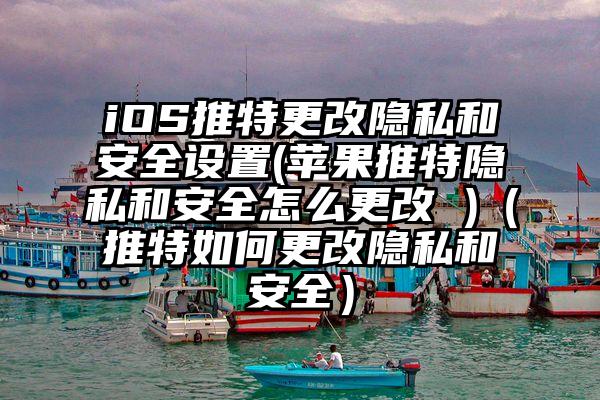 iOS推特更改隐私和安全设置(苹果推特隐私和安全怎么更改 )（推特如何更改隐私和安全）