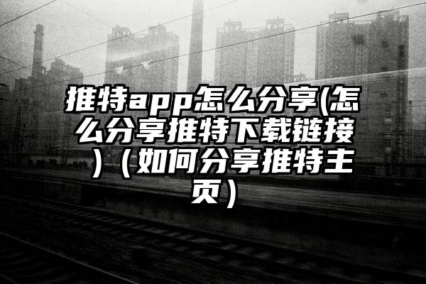 推特app怎么分享(怎么分享推特下载链接 )（如何分享推特主页）