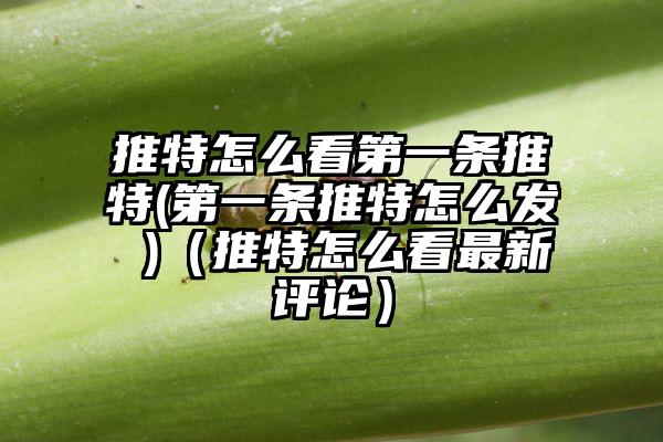 推特怎么看第一条推特(第一条推特怎么发 )（推特怎么看最新评论）