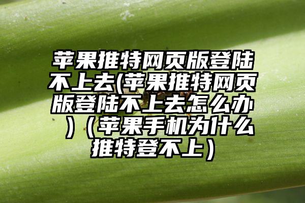 苹果推特网页版登陆不上去(苹果推特网页版登陆不上去怎么办 )（苹果手机为什么推特登不上）