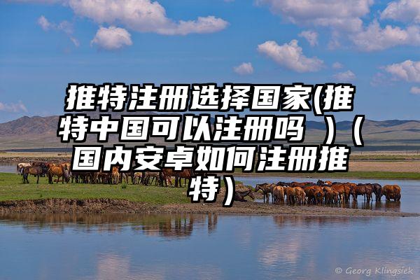 推特注册选择国家(推特中国可以注册吗 )（国内安卓如何注册推特）