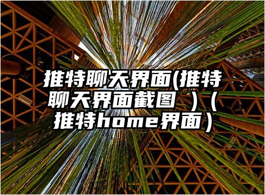 推特聊天界面(推特聊天界面截图 )（推特home界面）