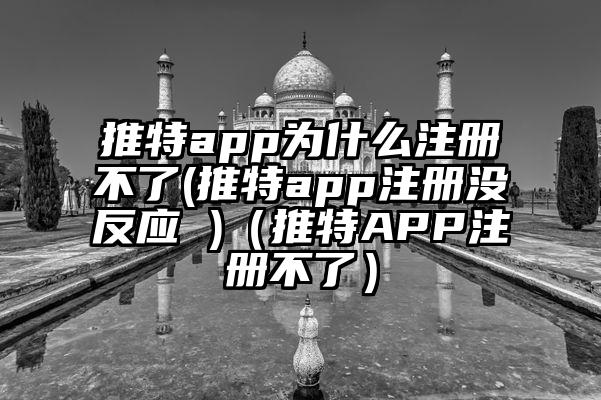 推特app为什么注册不了(推特app注册没反应 )（推特APP注册不了）