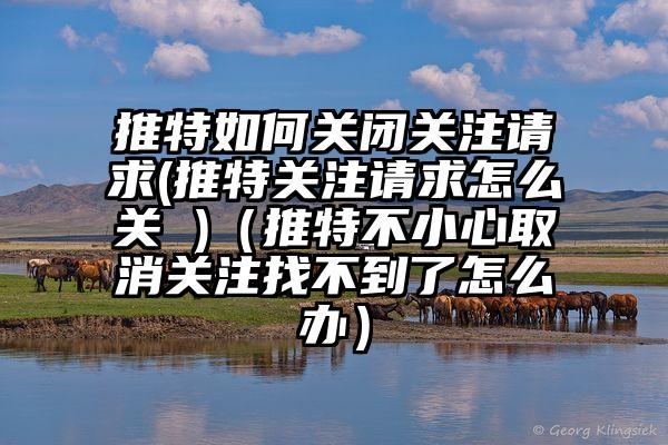推特如何关闭关注请求(推特关注请求怎么关 )（推特不小心取消关注找不到了怎么办）