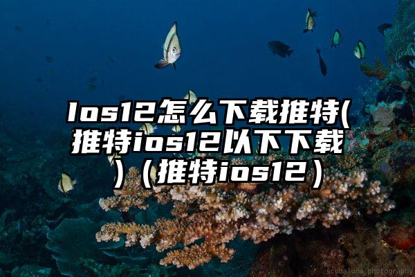 Ios12怎么下载推特(推特ios12以下下载 )（推特ios12）