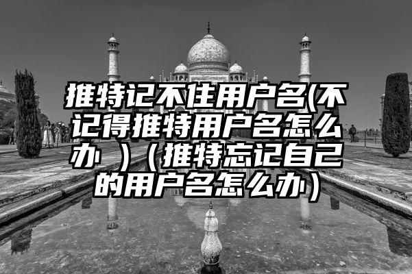 推特记不住用户名(不记得推特用户名怎么办 )（推特忘记自己的用户名怎么办）