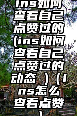 ins如何查看自己点赞过的(ins如何查看自己点赞过的动态 )（ins怎么查看点赞）
