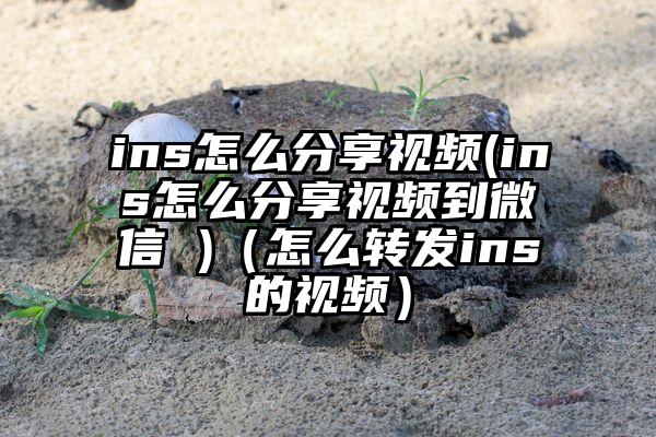 ins怎么分享视频(ins怎么分享视频到微信 )（怎么转发ins的视频）