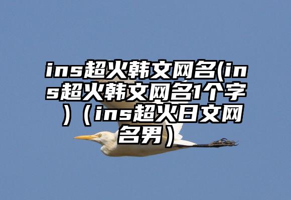 ins超火韩文网名(ins超火韩文网名1个字 )（ins超火日文网名男）