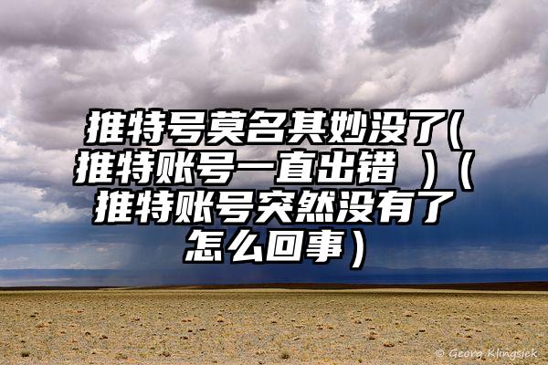 推特号莫名其妙没了(推特账号一直出错 )（推特账号突然没有了怎么回事）