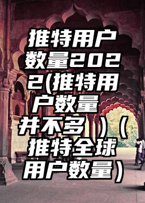 推特用户数量2022(推特用户数量 并不多 )（推特全球用户数量）