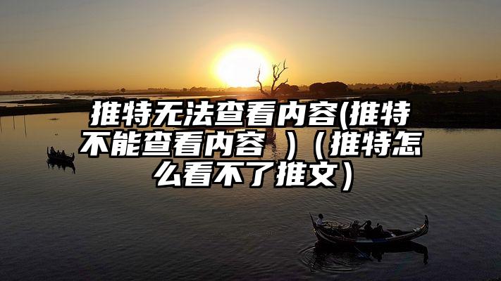 推特无法查看内容(推特不能查看内容 )（推特怎么看不了推文）