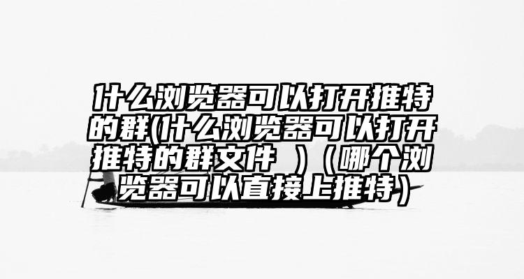 什么浏览器可以打开推特的群(什么浏览器可以打开推特的群文件 )（哪个浏览器可以直接上推特）