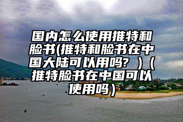 国内怎么使用推特和脸书(推特和脸书在中国大陆可以用吗? )（推特脸书在中国可以使用吗）
