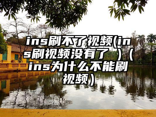 ins刷不了视频(ins刷视频没有了 )（ins为什么不能刷视频）