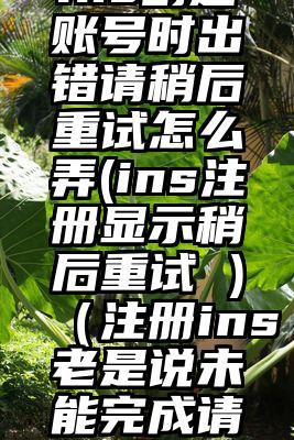 ins创建账号时出错请稍后重试怎么弄(ins注册显示稍后重试 )（注册ins老是说未能完成请求）